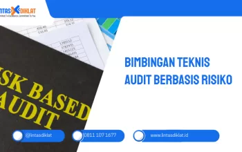 BIMBINGAN TEKNIS AUDIT BERBASIS RISIKO